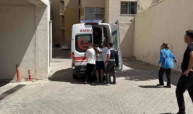 Siverek'te Fırat Nehri'ne giren 2 kişi boğuldu