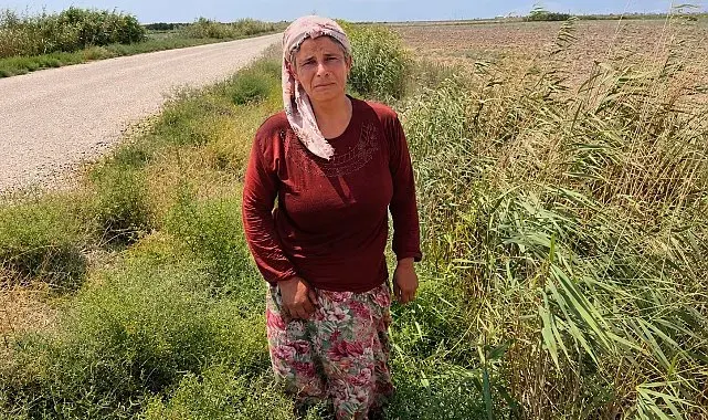 Süt satarak geçimini sağlayan kadının 2 buzağısı hastalanıp, ineği de su kanalına düşerek telef oldu