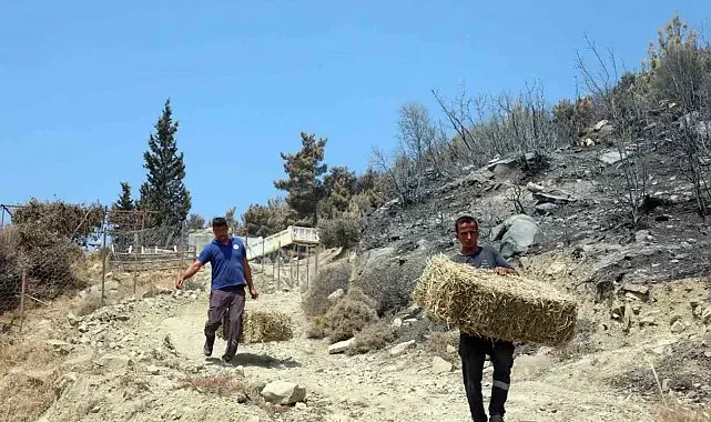 Seydikemer'de yaralar hızla sarılıyor