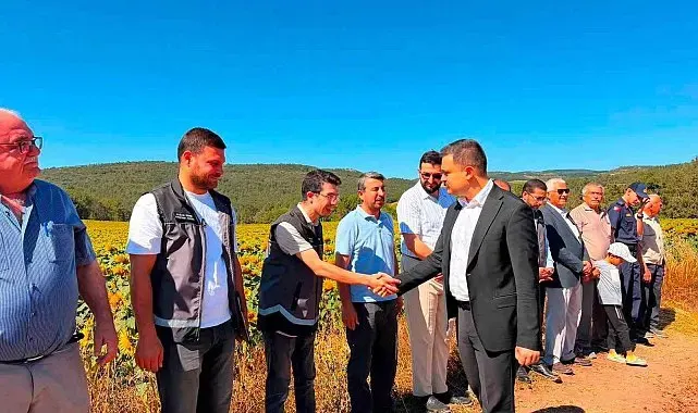 Kaymakam Titiz hasat sevincine ortak oldu