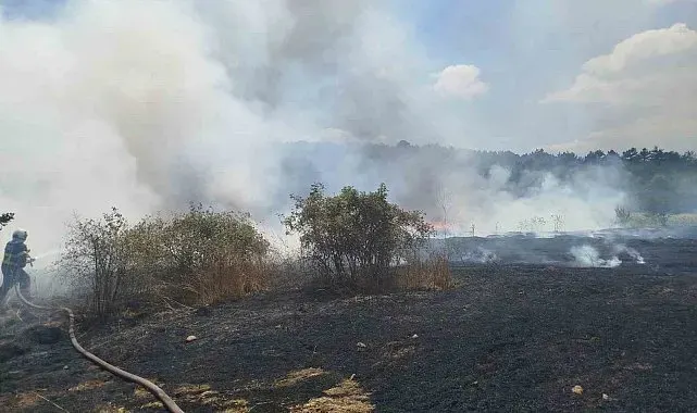 Bilecik'te çıkan yangında 30 dönümlük hasadı yapılmış buğday tarlası kül oldu