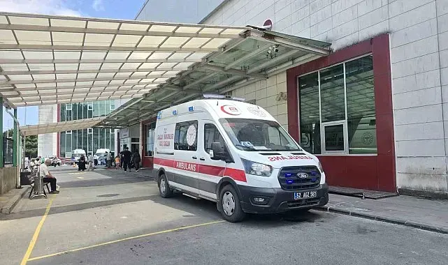 Ordu'da mantardan zehirlenen yaşlı çift hastaneye kaldırıldı