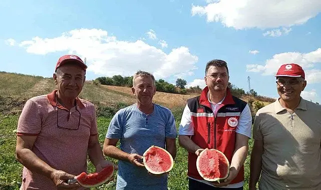 Tekirdağ karpuzu tezgâhlara çıkıyor