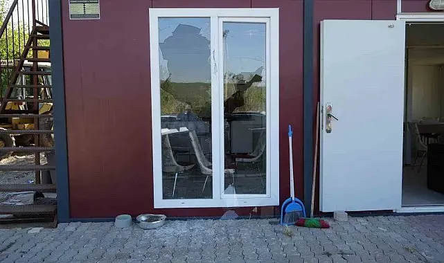 Maskeli saldırgan, beyzbol sopasıyla kooperatifin pencerelerini kırıp kaçtı