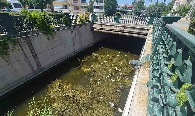 Porsuk Çayı'ndaki çöp kirliliği dikkat çekti