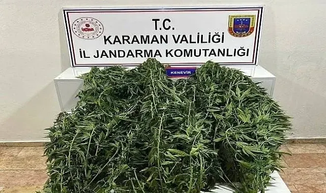 Karaman'da jandarmanın yakaladığı 44 şahıstan 9'u tutuklandı