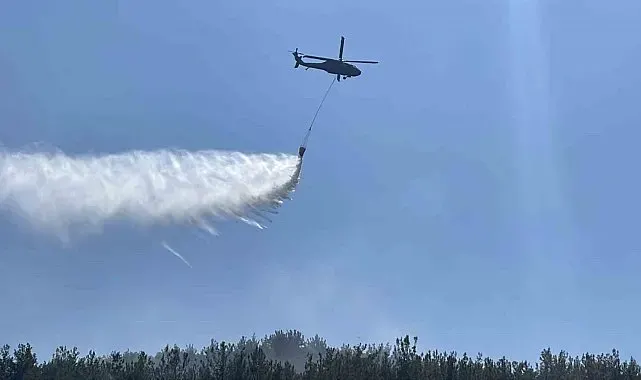 Osmaniye'de çalılık alanda başlayan yangın ormana sıçradı