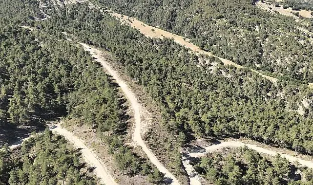 Orman köylülerine endüstriyel odundan 1 milyar TL'lik katkı