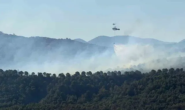 Balıkesir Gömeç yangını 3. gününde.