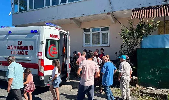 Alaplı'da 'pat-pat' kazası: 5 yaralı
