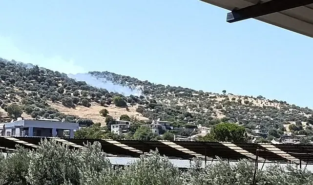 Bozdoğan'daki zirai alan yangını kontrol altına alındı