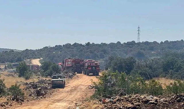 Gaziantep'te orman yangını: Ekiplerin müdahalesi sürüyor