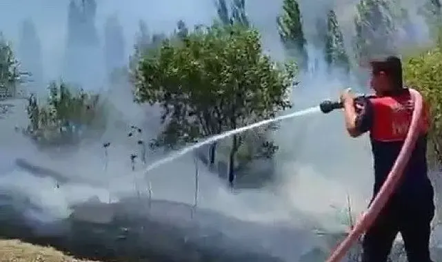 Bahçe yangınında çok sayıda ağaç zarar gördü