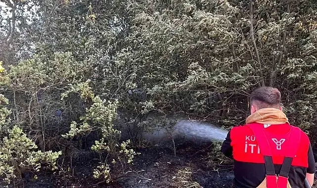 Kütahya OSB İtfaiyesi, Beşkarış ve Aydınlar köyü yangınlarında görev aldı