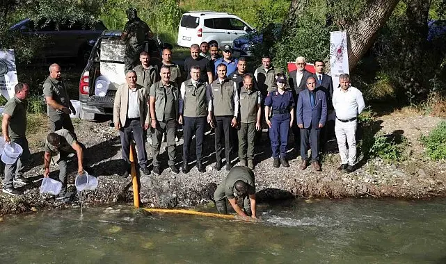 Ecemiş Çayı'na 15 bin alabalık yavrusu bırakıldı