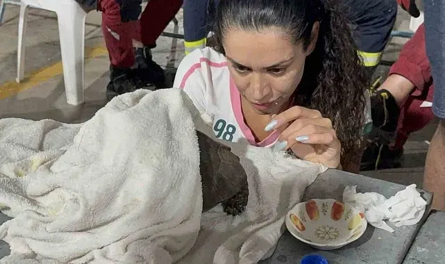 Alevlerin arasından kurtarılan kaplumbağa için zamanla yarışıldı
