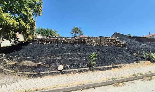 Eskişehir'de otluk alanda çıkan yangın mahalleliyi korkuttu