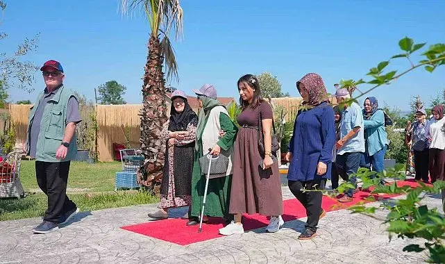 Alzheimer hastalarına terapi gibi etkinlik