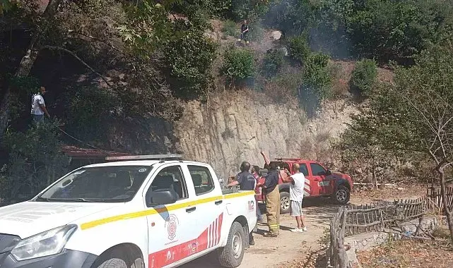Erdek'te orman yangını ekiplerin ortak çalışmasıyla söndürüldü