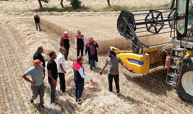 Erzincan'da buğday hasadı sürüyor, biçerdöverler denetlendi
