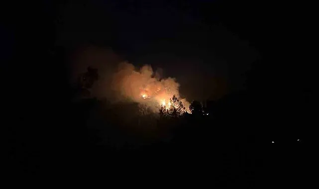 Kaş'taki orman yangınına müdahale sürüyor