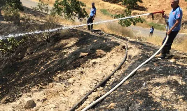 Fıstık tarlasındaki yangına müdahale ederken hayatını kaybetti