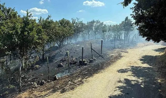 Çanakkale'de tarım arazisinde çıkan yangın kontrol altına alındı