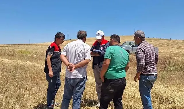 Burdur'da biçerdöverler denetleniyor
