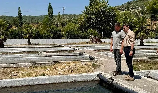 Kaymakam Sözen, tarım müdürlüğü ve su ürünleri işletmesinde incelemelerde bulundu
