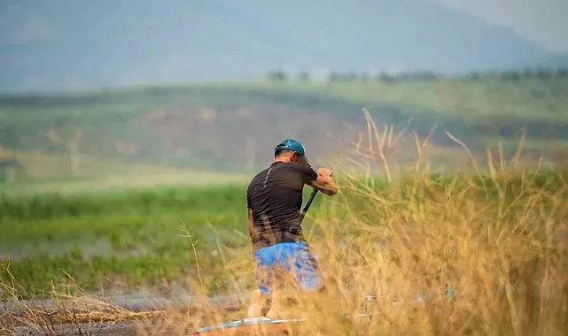 Flamingoları havalandıran SUP keyfi cezayla bitti
