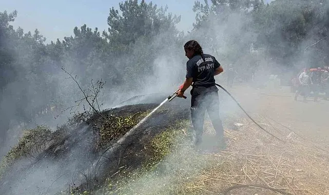 Aydın Büyükşehir İtfaiyesi 8 günde 445 yangına müdahale etti