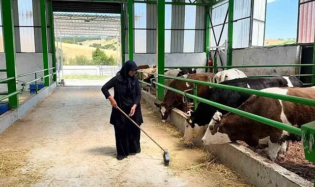 Gediz'de 12 milyon TL'lik büyükbaş besi işletmesi faaliyete geçti
