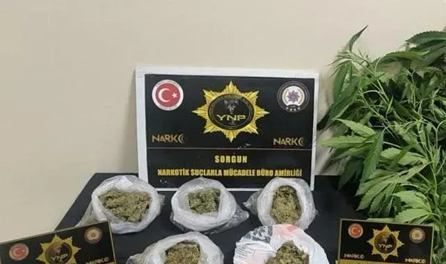 Yozgat'ta 257 gram esrar ve 13 kök Hint keneviri ele geçirildi
