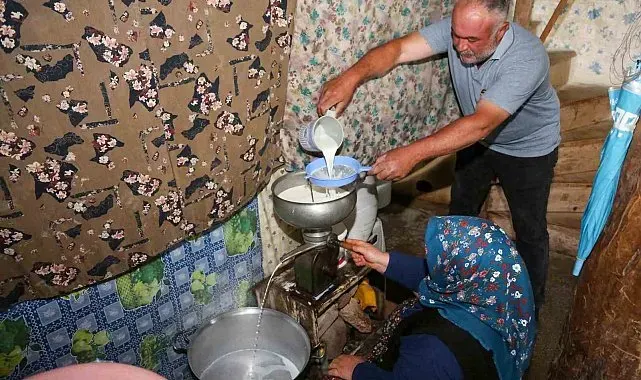 Tuluk peynirleri mağaraya dinlenmeye bırakıldı