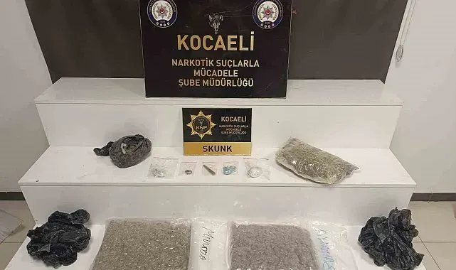 Kocaeli'de kilolarca skunk ele geçirildi