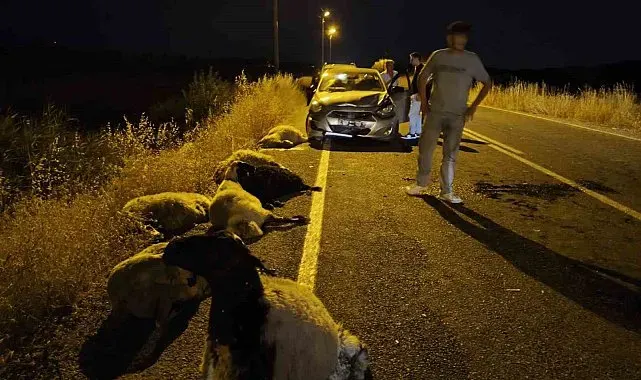 Diyarbakır'da otomobil sürüye çarptı: 10 koyun telef oldu