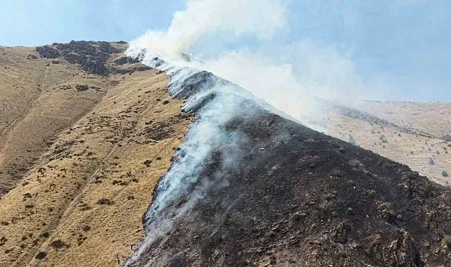Elazığ'da dağlık alanda çıkan yangında 1 şüpheli gözaltına alındı