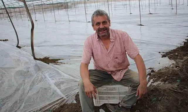 Seralarda yeni sezon üretim için solarizasyon dönemi başladı