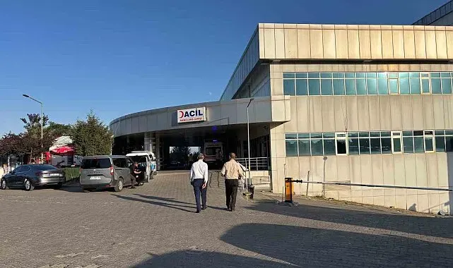 Bingöl'de iki aile arasında taşlı, sopalı ve silahlı kavga: 9 yaralı