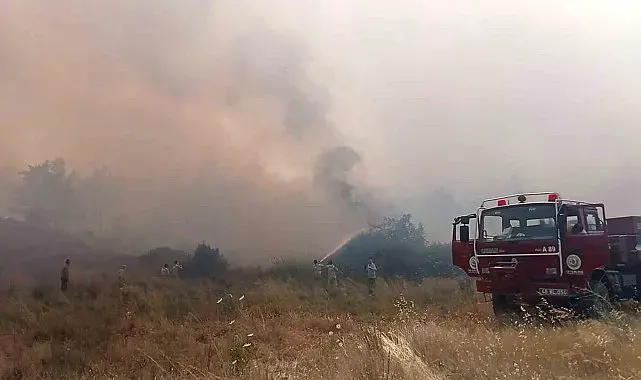 Muğla Menteşe'de orman yangını