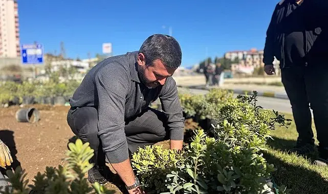 Karabük'te yeşil alanlar 18 binden fazla fidanla güçleniyor