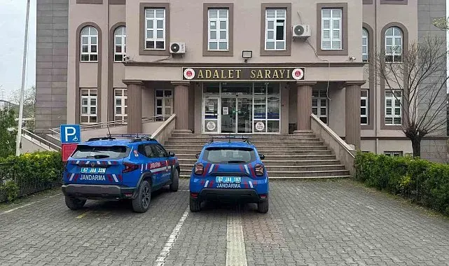 Bahçeye kenevir ekti, ihbarla yakalandı