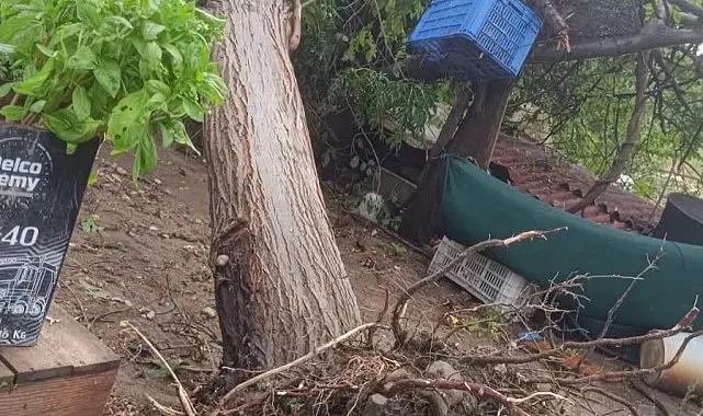 Serik'te sağanak ve hortum evin çatısına zarar verdi, iki ağacı kökünden söktü