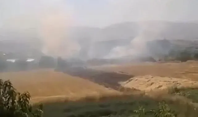 Elazığ'da otluk alanda yangın