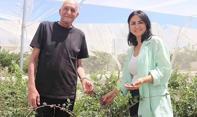 Şehir hayatından yorulan çift, topraksız tarım üreticisi oldu