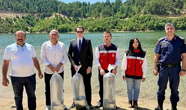 Hisarcık Hasanlar Barajı'na 80 bin sazan yavrusu bırakıldı