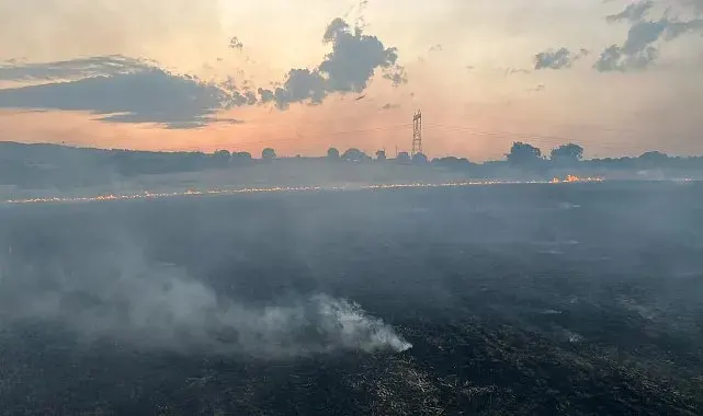 Gönen'de peş peşe çıkan 5 yangınla ilgili 2 şüpheli tutuklandı