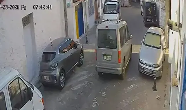 İki sokak kedisini ezdi, arkasına bile bakmadan uzaklaştı