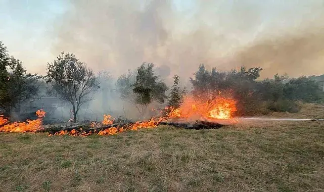 Köyceğiz ilçesindeki ot yangını söndürüldü