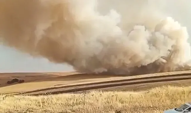 Mardin'de anız yangını